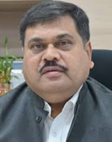 Subeer S Majumdar